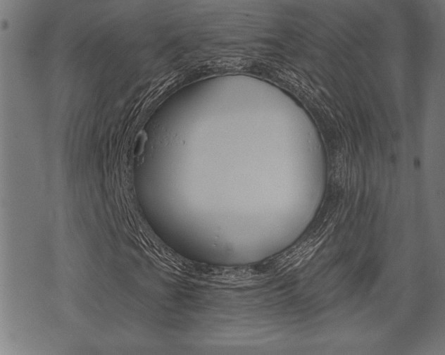 X0000073541201200607310942