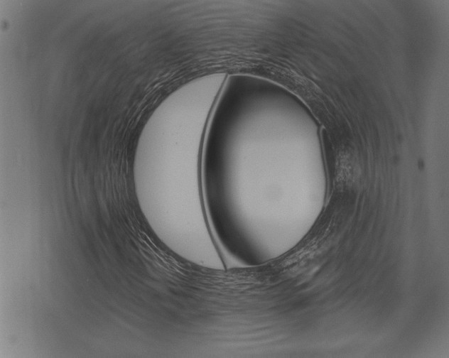 X0000073541202200607310942