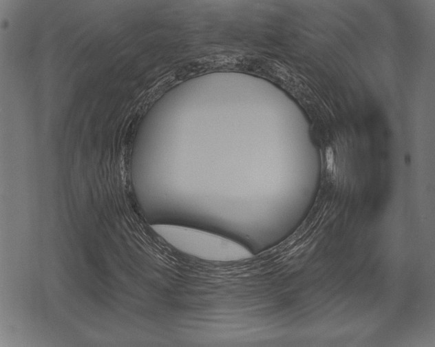 X0000073541203200607310942