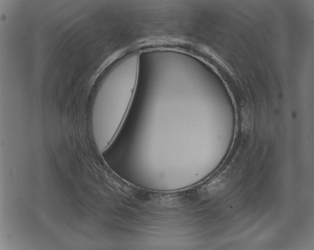 X0000073541213200607310942