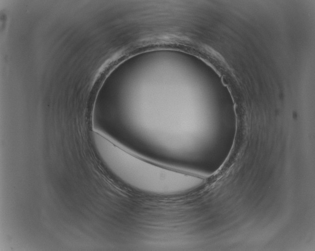 X0000073541218200607310942