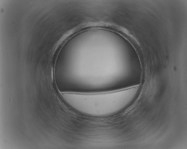 X0000073541221200607310942