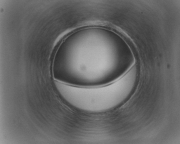 X0000073541222200607310942