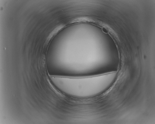 X0000073541233200607310943