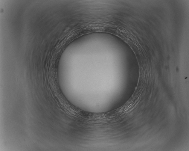 X0000073541249200607310942