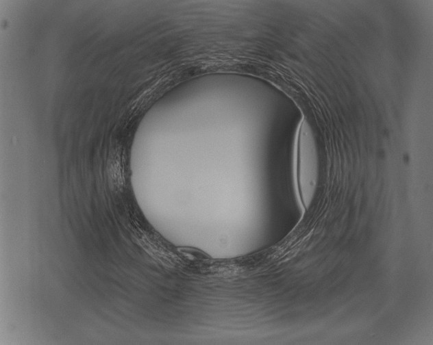 X0000073541250200607310942