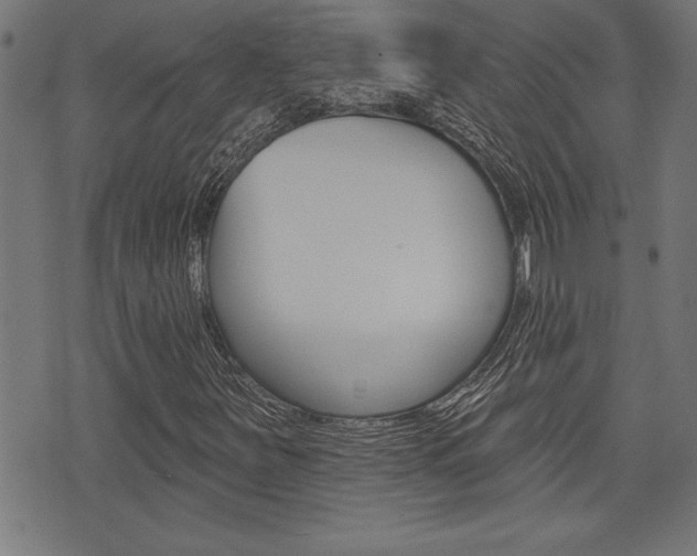 X0000073541251200607310942