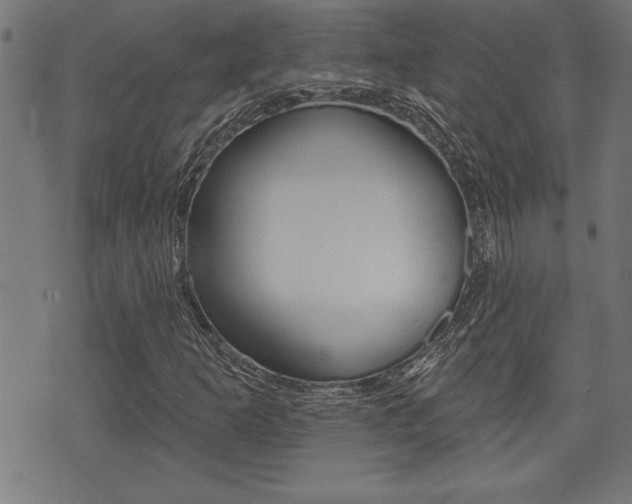X0000073541253200607310942