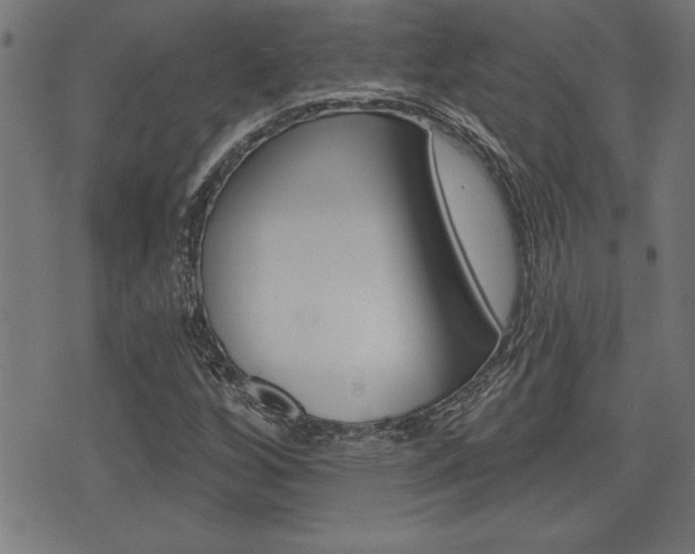 X0000073541256200607310942