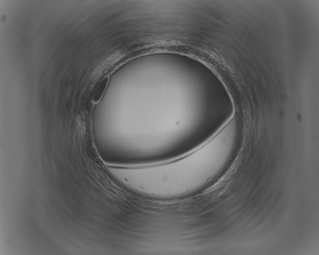X0000073541257200607310942