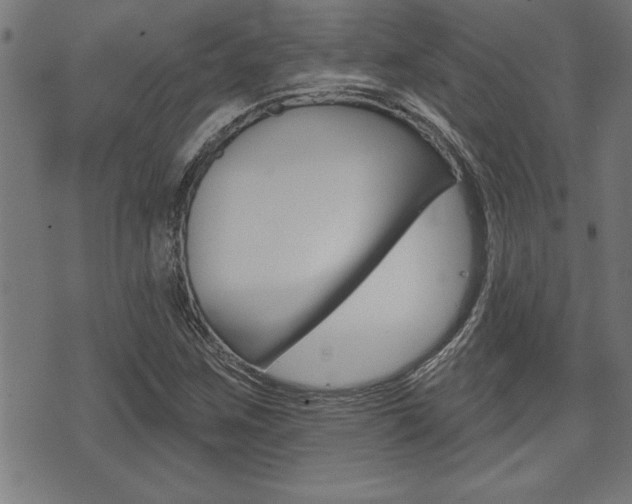 X0000073541259200607310942