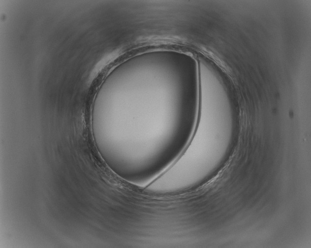 X0000073541261200607310942