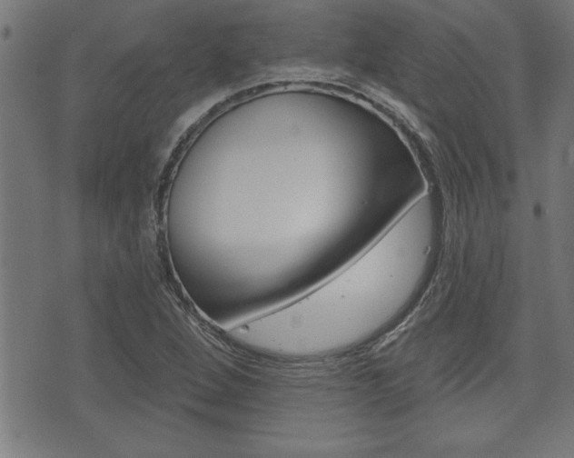 X0000073541264200607310942