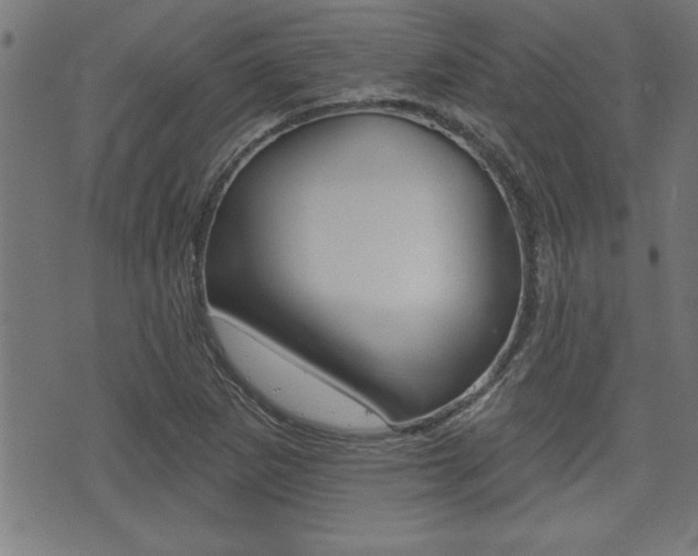 X0000073541265200607310942