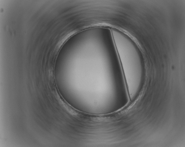 X0000073541281200607310941
