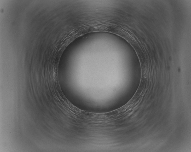 X0000073541298200607310940