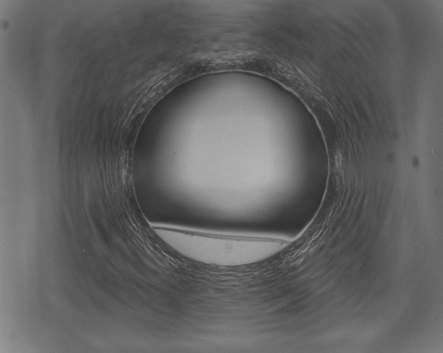 X0000073541300200607310941