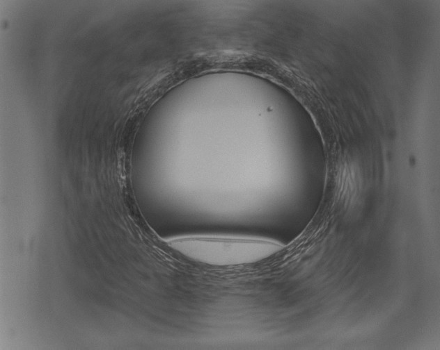 X0000073541301200607310941