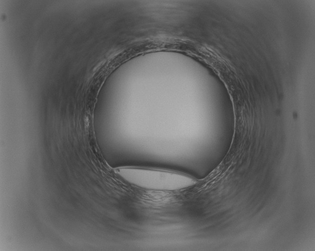 X0000073541302200607310941