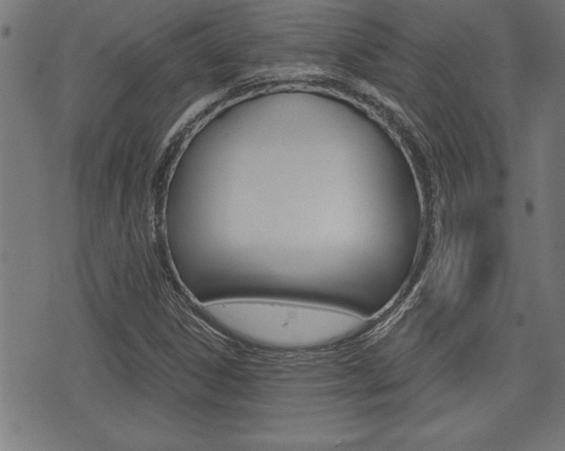 X0000073541306200607310941