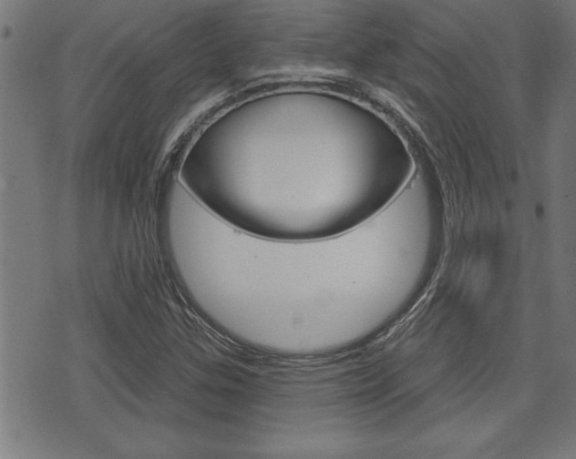 X0000073541307200607310941