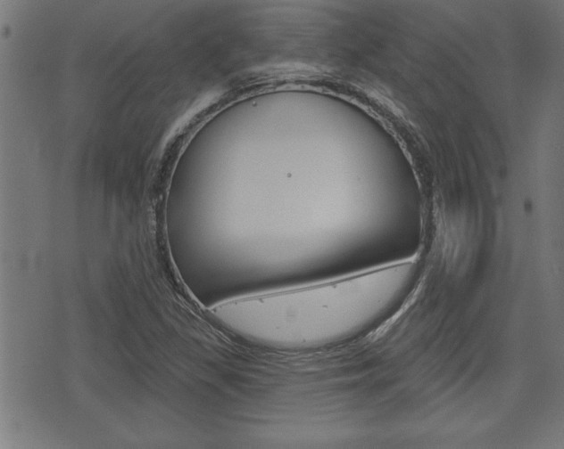 X0000073541309200607310941