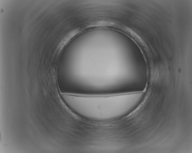 X0000073541329200607310941