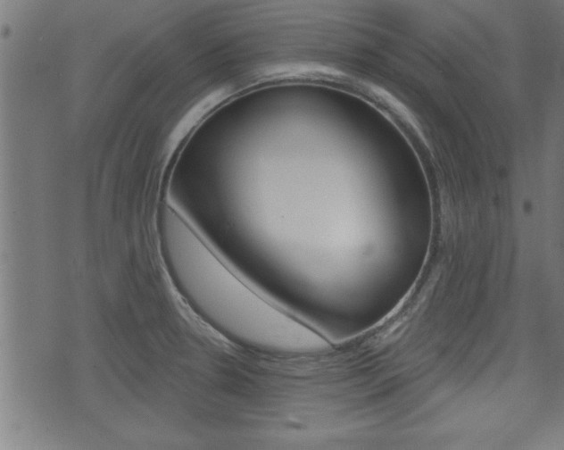X0000073541330200607310941