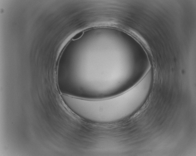 X0000073541340200607310941