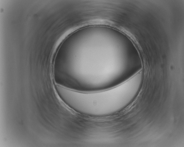 X0000073541342200607310941