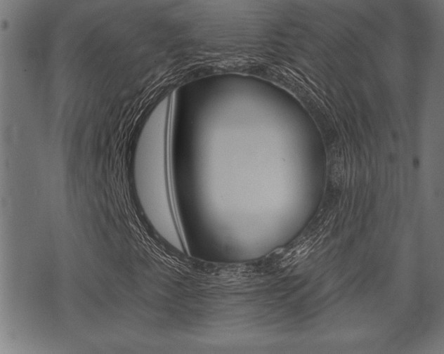 X0000073541345200607310940