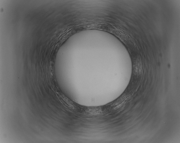 X0000073541346200607310940