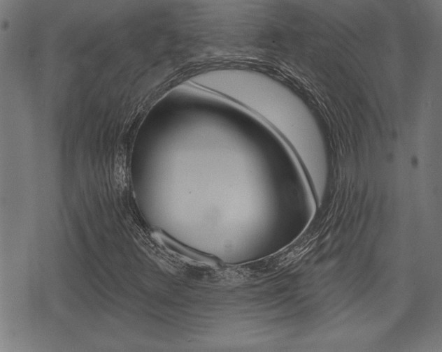 X0000073541348200607310940