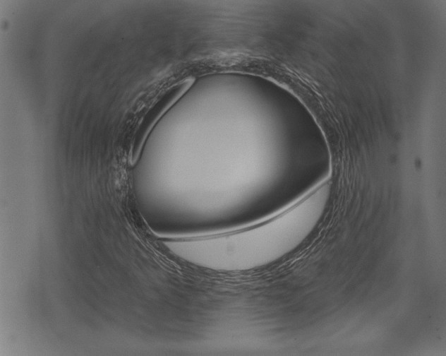X0000073541349200607310940