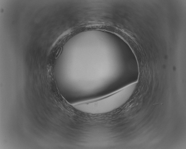 X0000073541351200607310940