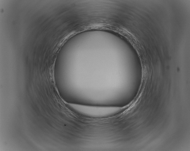 X0000073541353200607310940