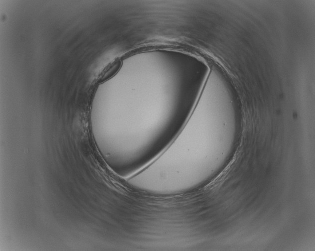 X0000073541355200607310940