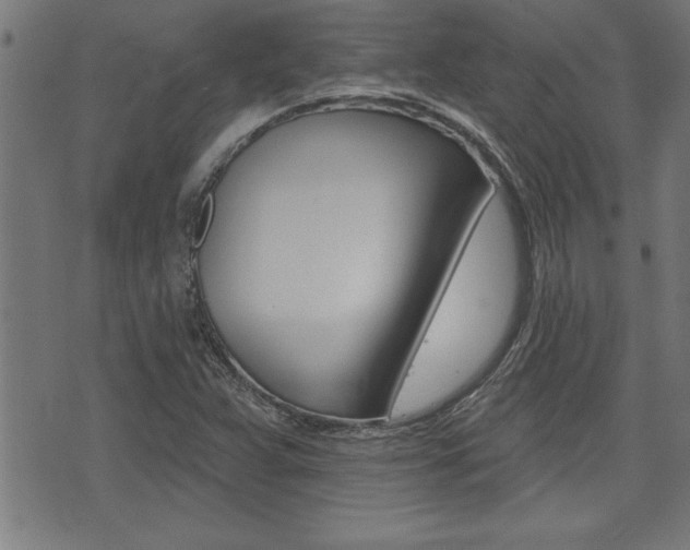 X0000073541359200607310940