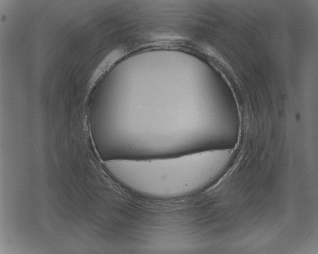 X0000073541362200607310940
