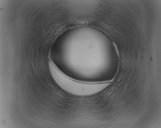 X0000073541394200607310939