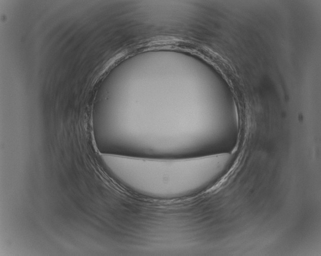 X0000073541401200607310939