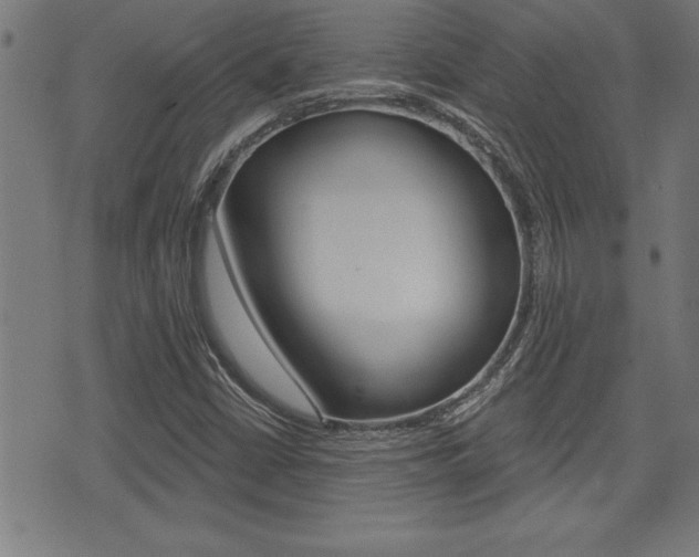 X0000073541402200607310939