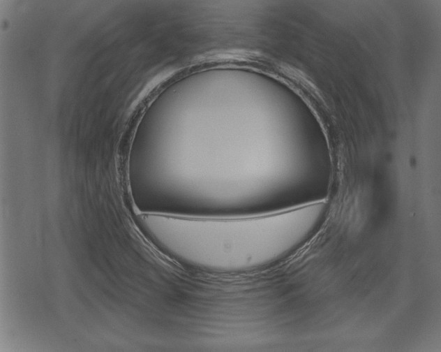 X0000073541404200607310939
