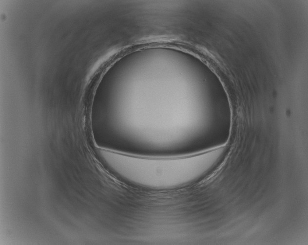 X0000073541406200607310939