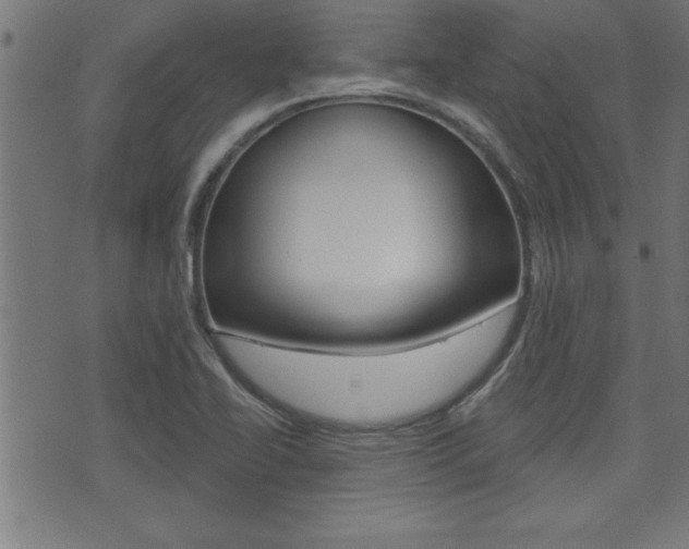 X0000073541414200607310939