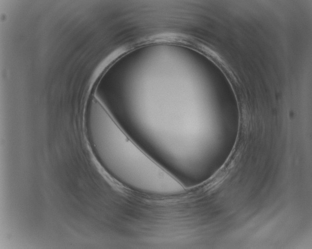 X0000073541426200607310939