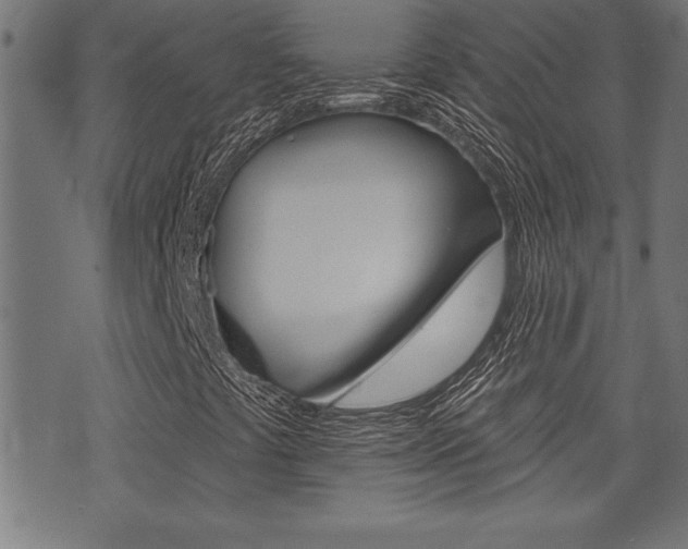 X0000073541441200607310939