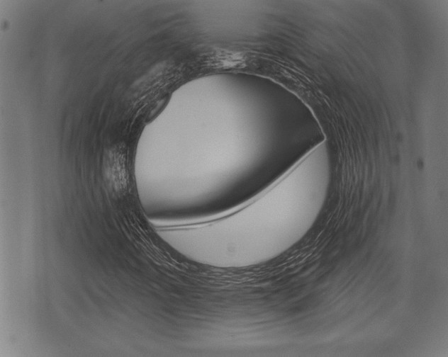 X0000073541442200607310939