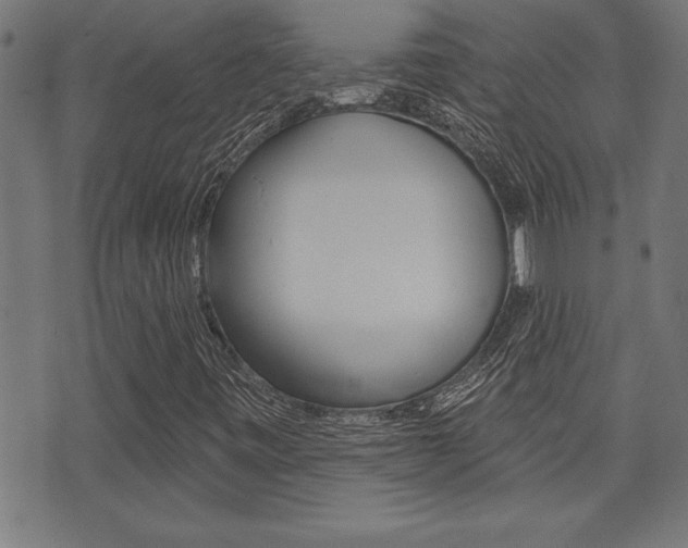 X0000073541443200607310939
