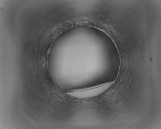 X0000073541445200607310939